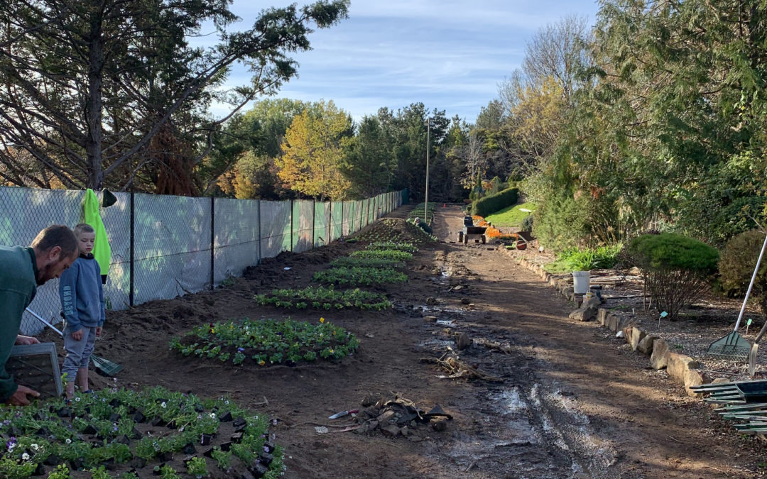 Cockington Green Gardens: creating tourism alliances during shutdown